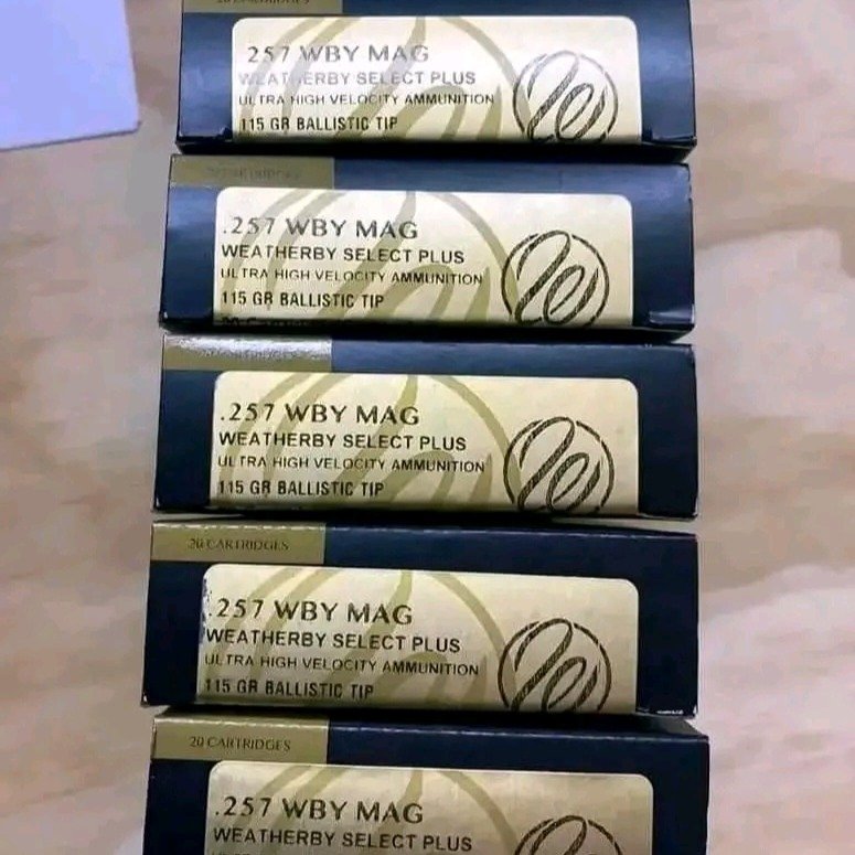 Buy Ammunition Online in Canada